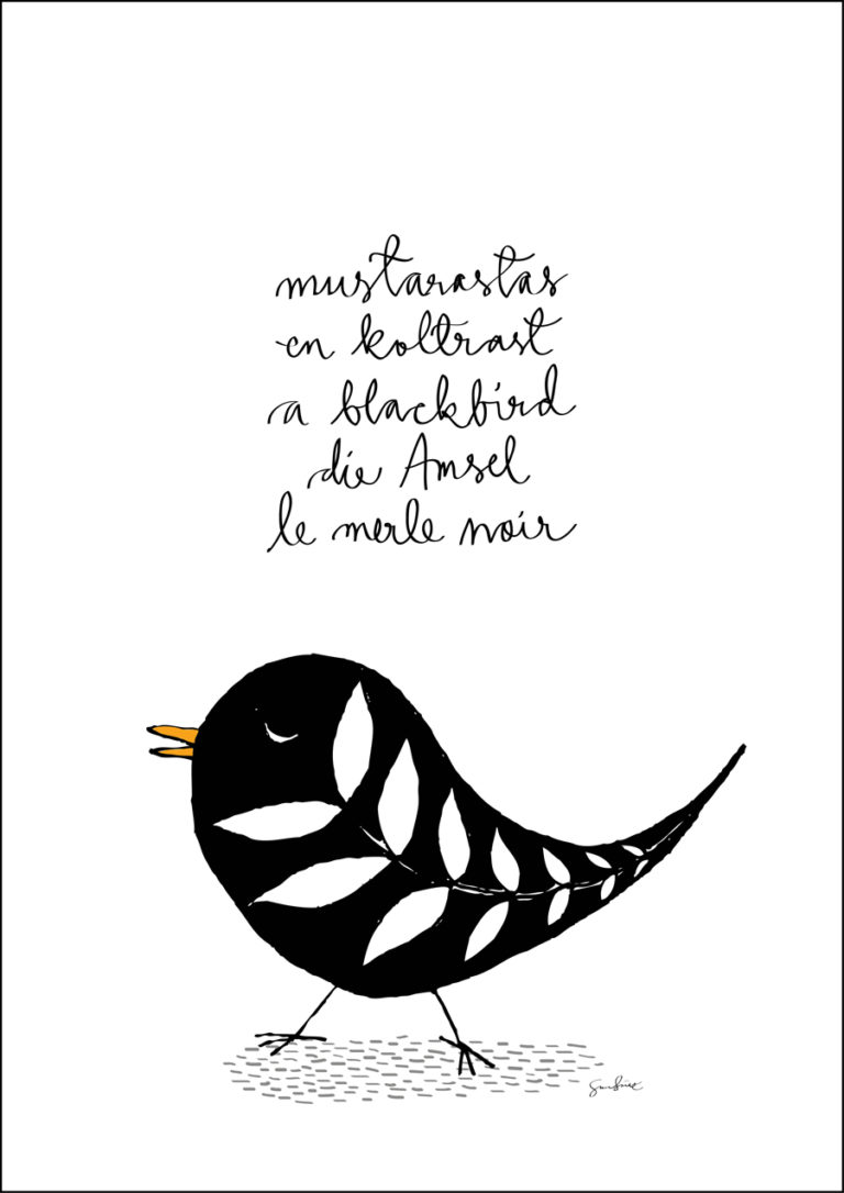 A3 Juliste Poster Mustarastas Black Bird SiniSusa